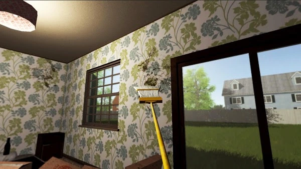 Cleaning The House